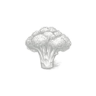 Corina Person Minniti